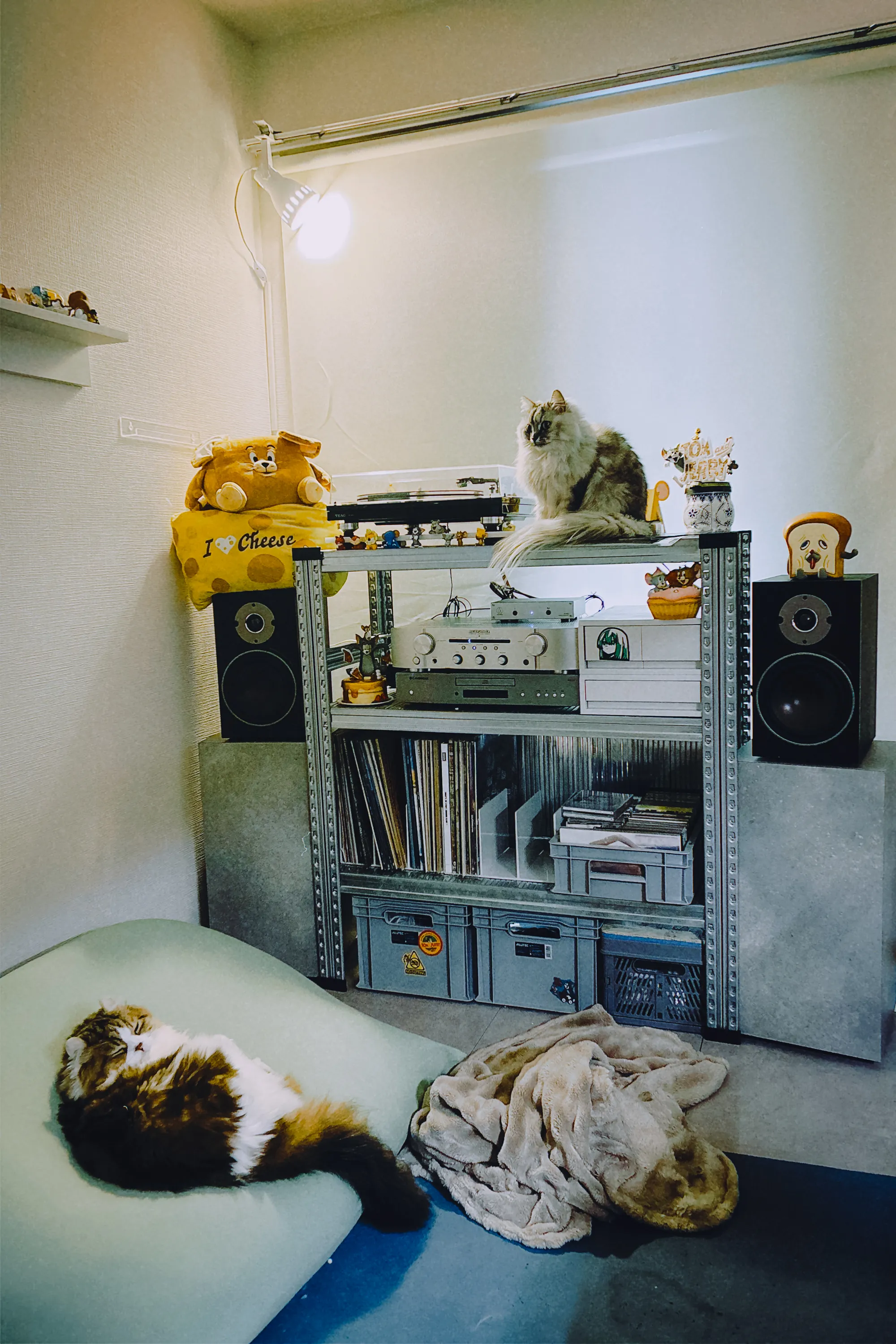 2026 — 01 — 28に撮影したうみとあおの写真